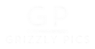 GRIZZLY PICS